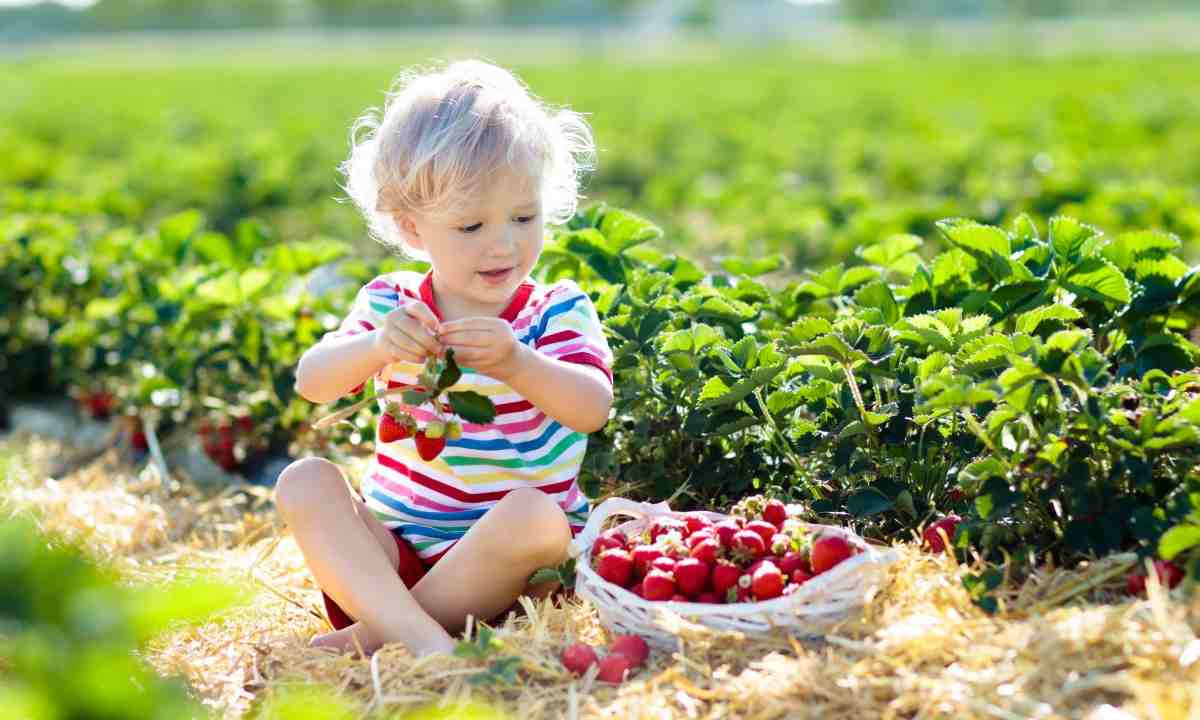 Alimentazione biologica per i bambini