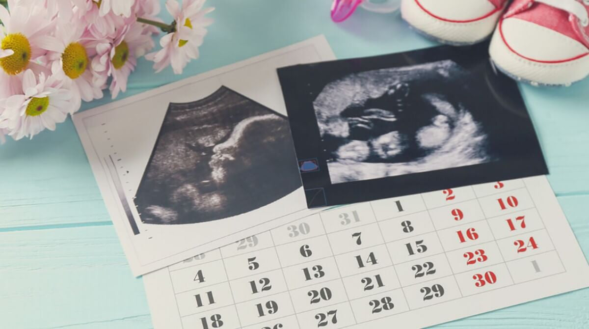 Calendario delle settimane di gravidanza