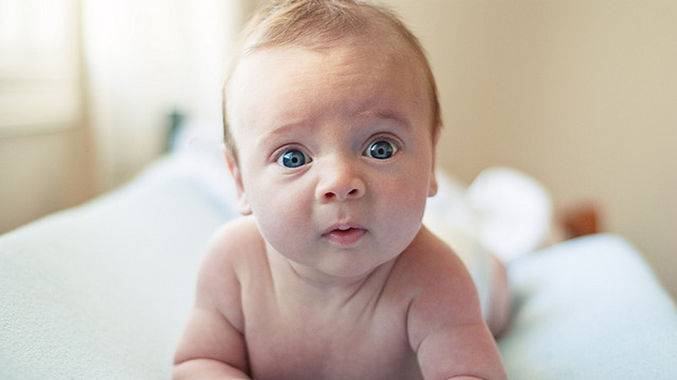 Cosa vedono i neonati?