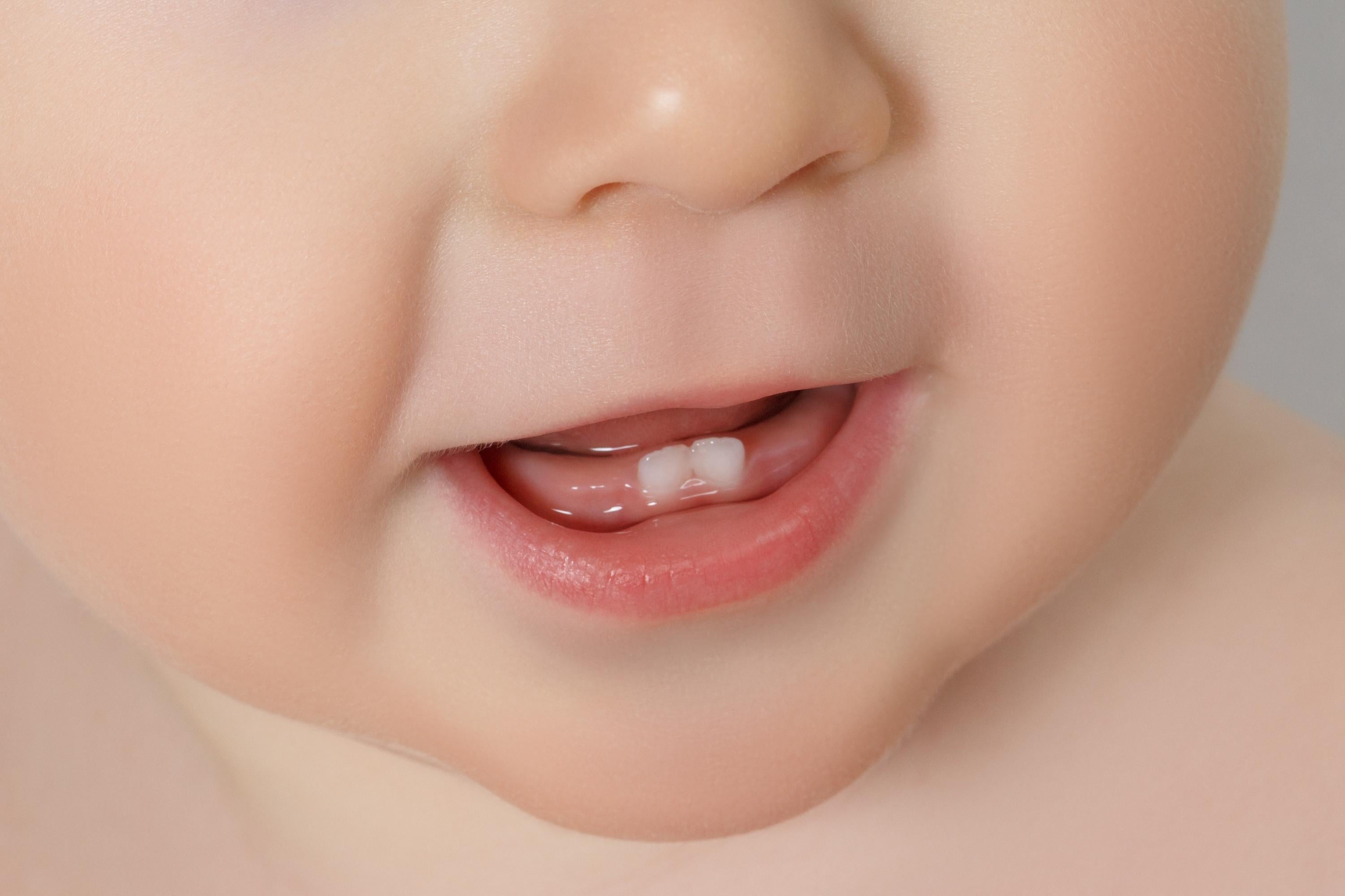 Come avviene lo sviluppo della bocca del bambino con i denti da latte.