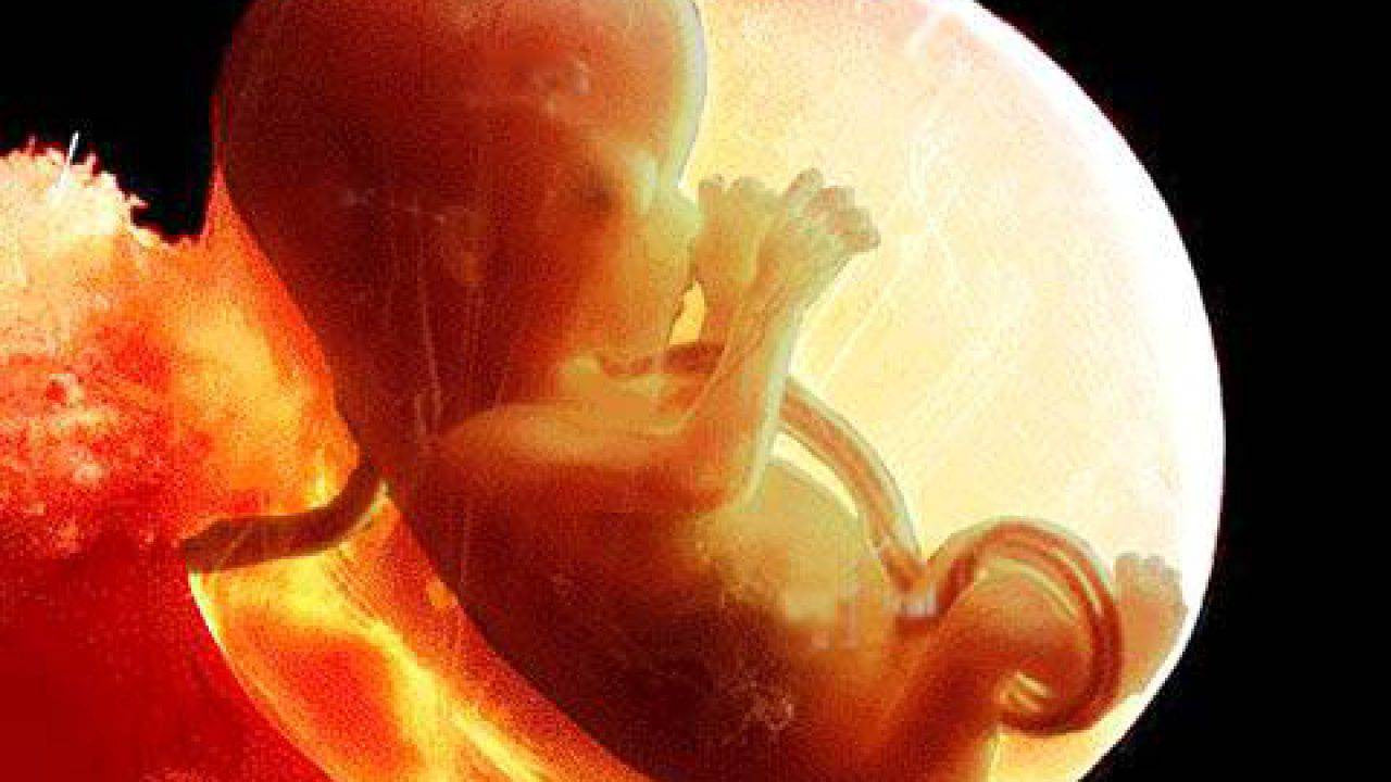 Lo sviluppo dei 5 sensi nel feto